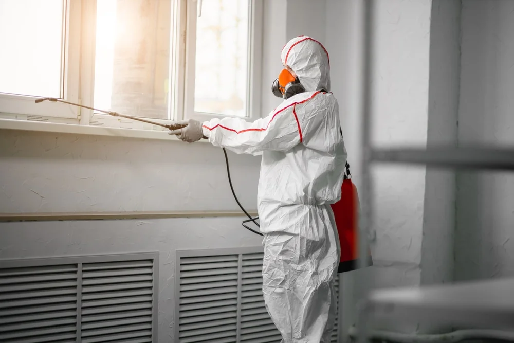 Professional mold remediation services in Mount Sinai, NY